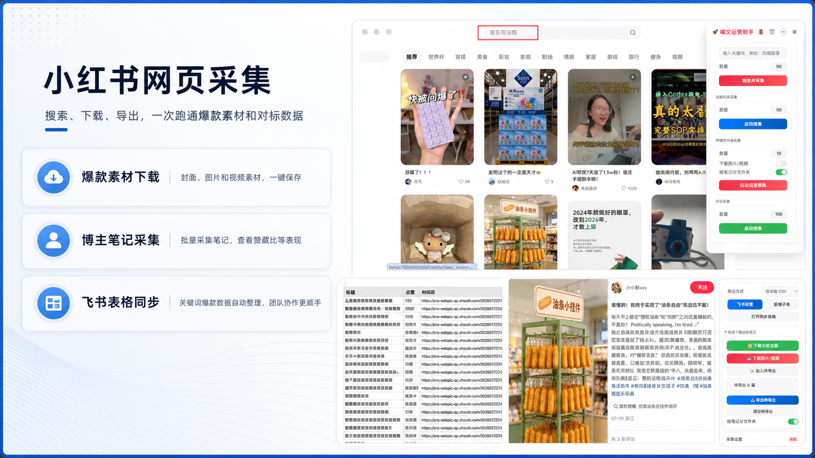 小红书网页采集功能效果展示
